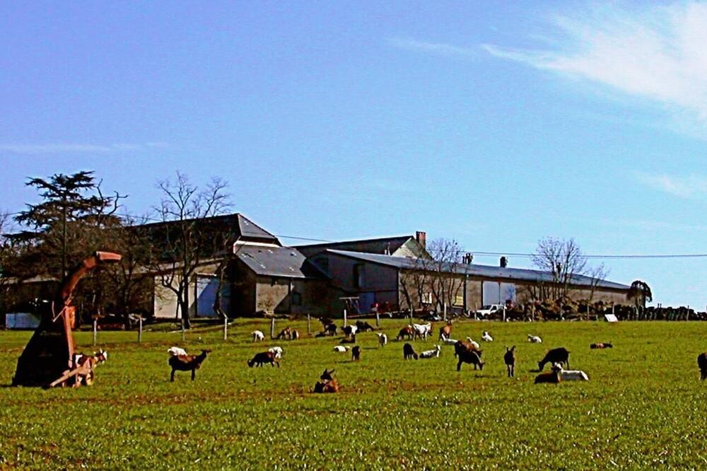 Photo of Outdoor in Ambialet