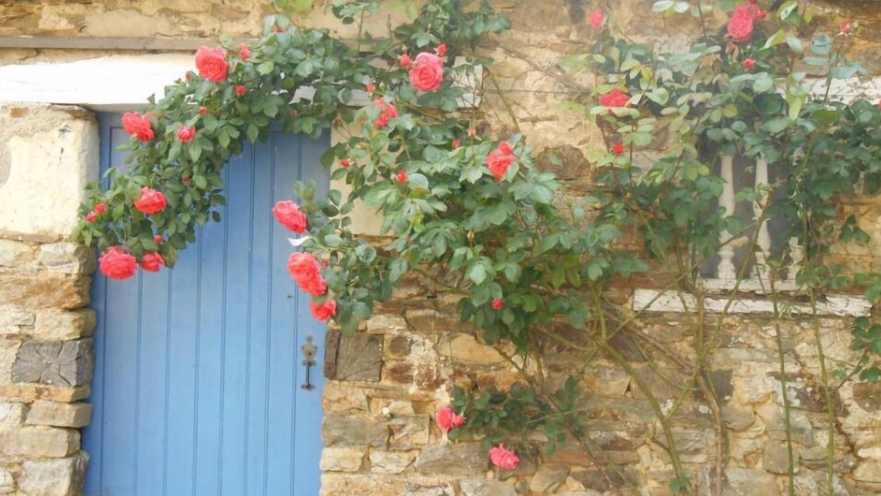 Photo of Outdoor in Erbree
