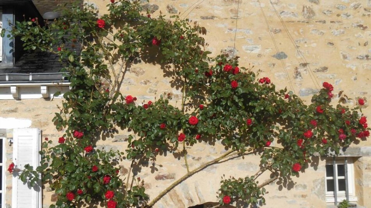 Photo of Outdoor in Erbree
