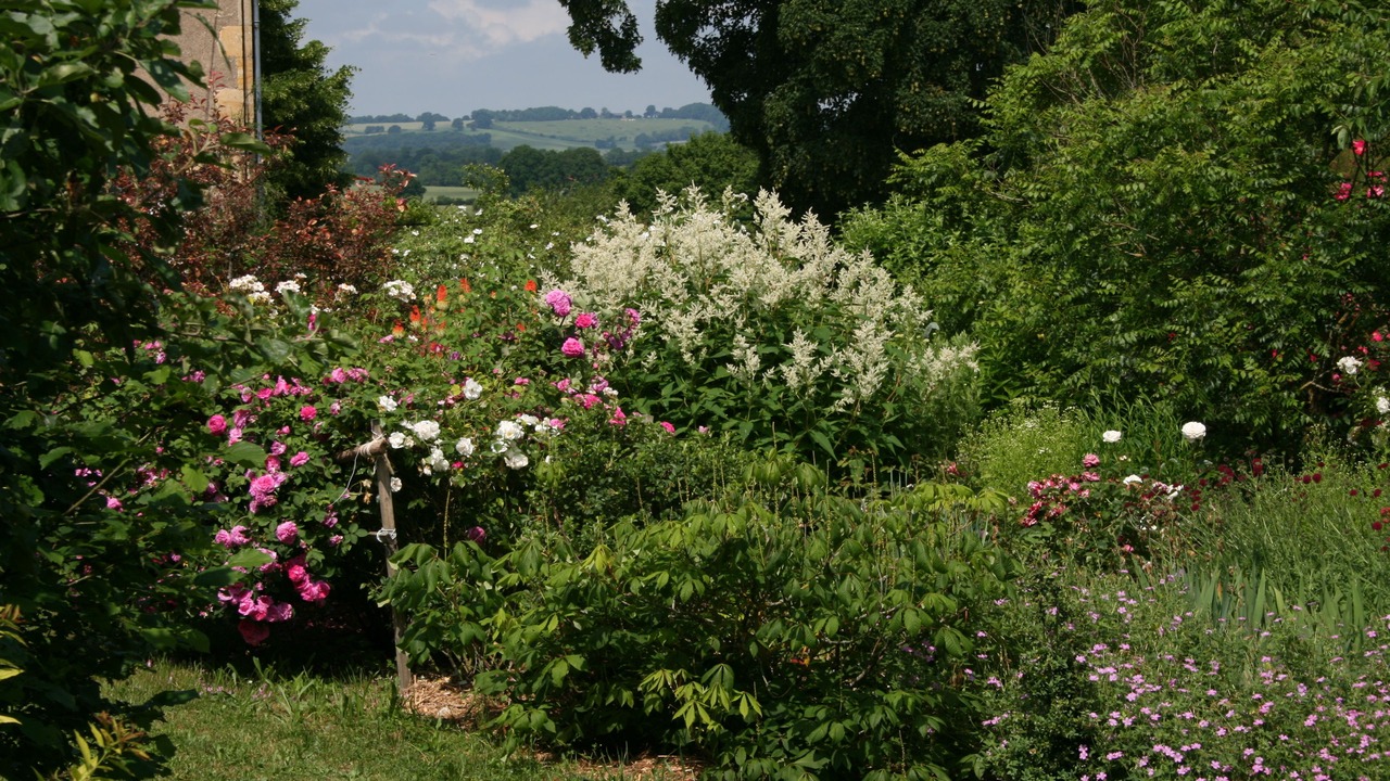 Photo of Outdoor in La Guerche-sur-l'Aubois