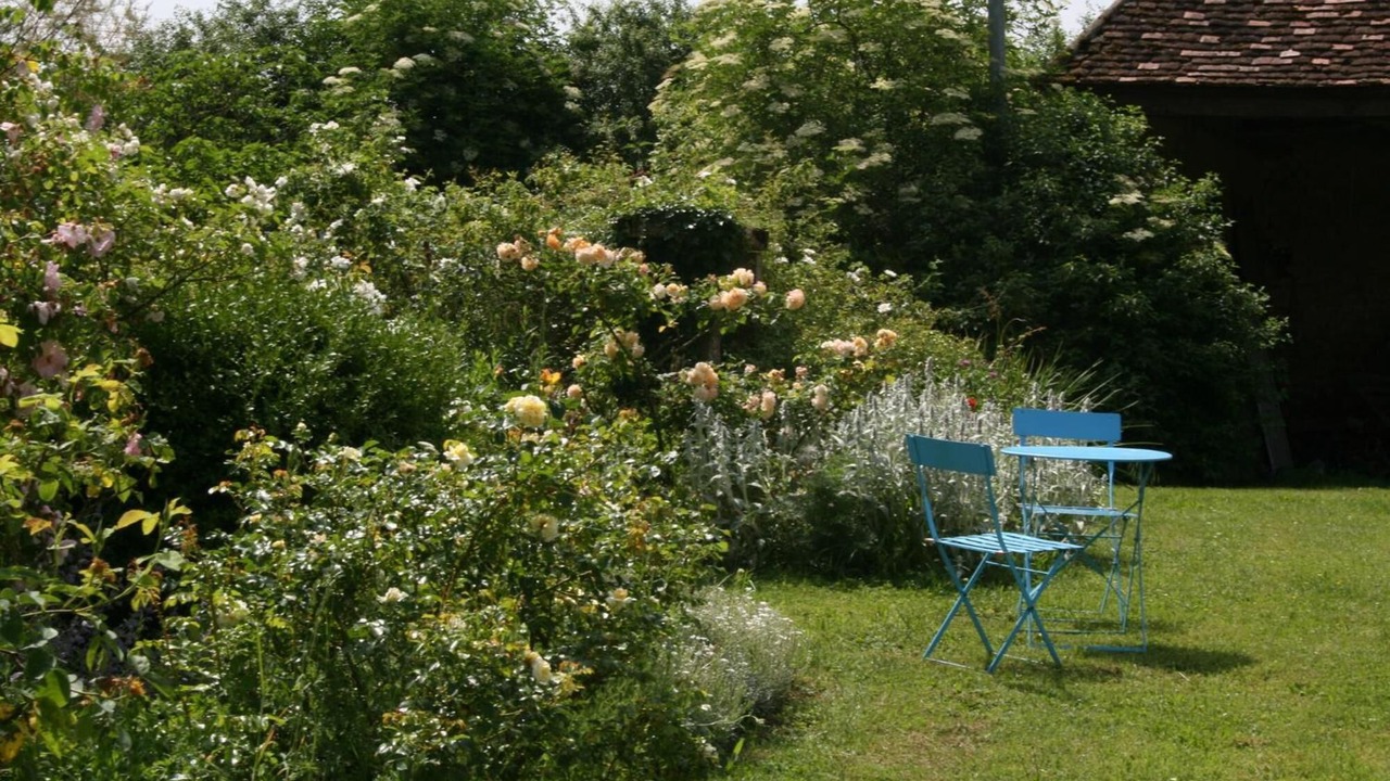 Photo of Outdoor in La Guerche-sur-l'Aubois