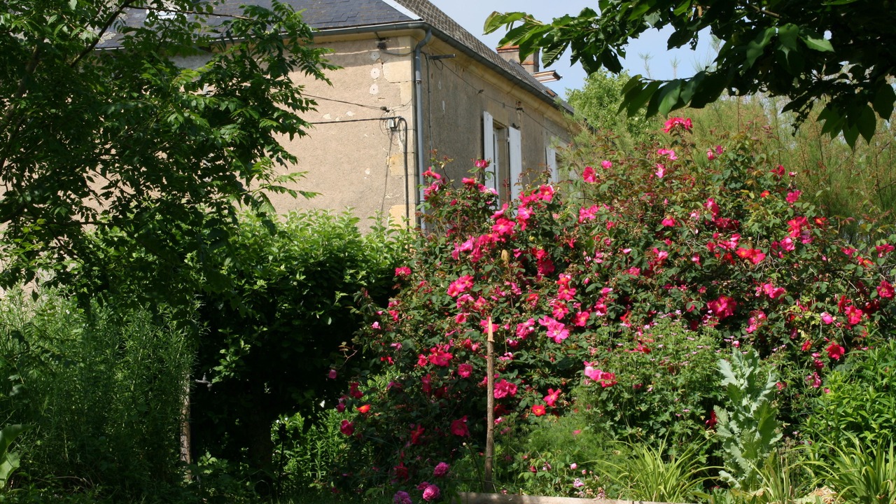 Photo of Outdoor in La Guerche-sur-l'Aubois