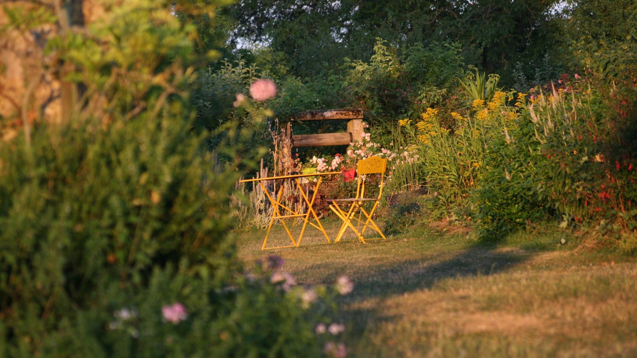 Photo of Outdoor in La Guerche-sur-l'Aubois
