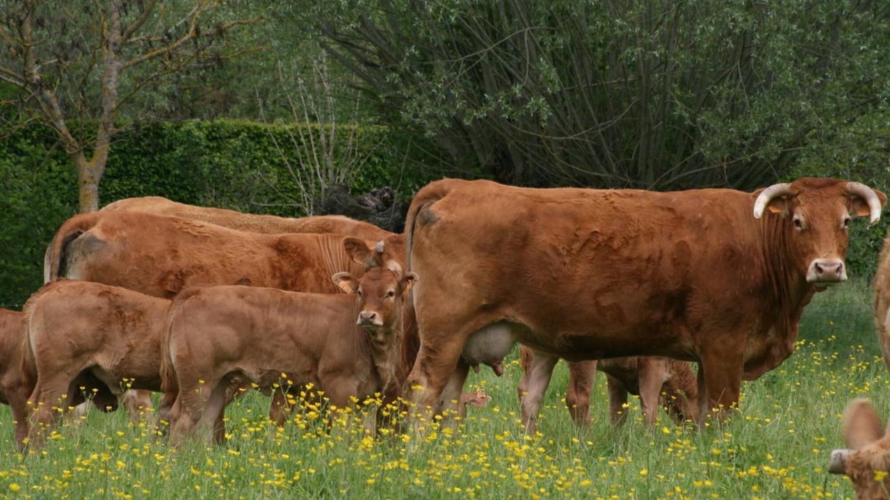 Photo of Outdoor in La Guerche-sur-l'Aubois
