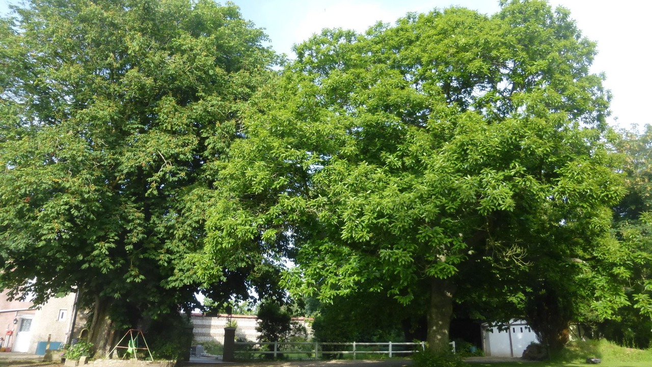 Photo of Outdoor in Criquebeuf-en-Caux