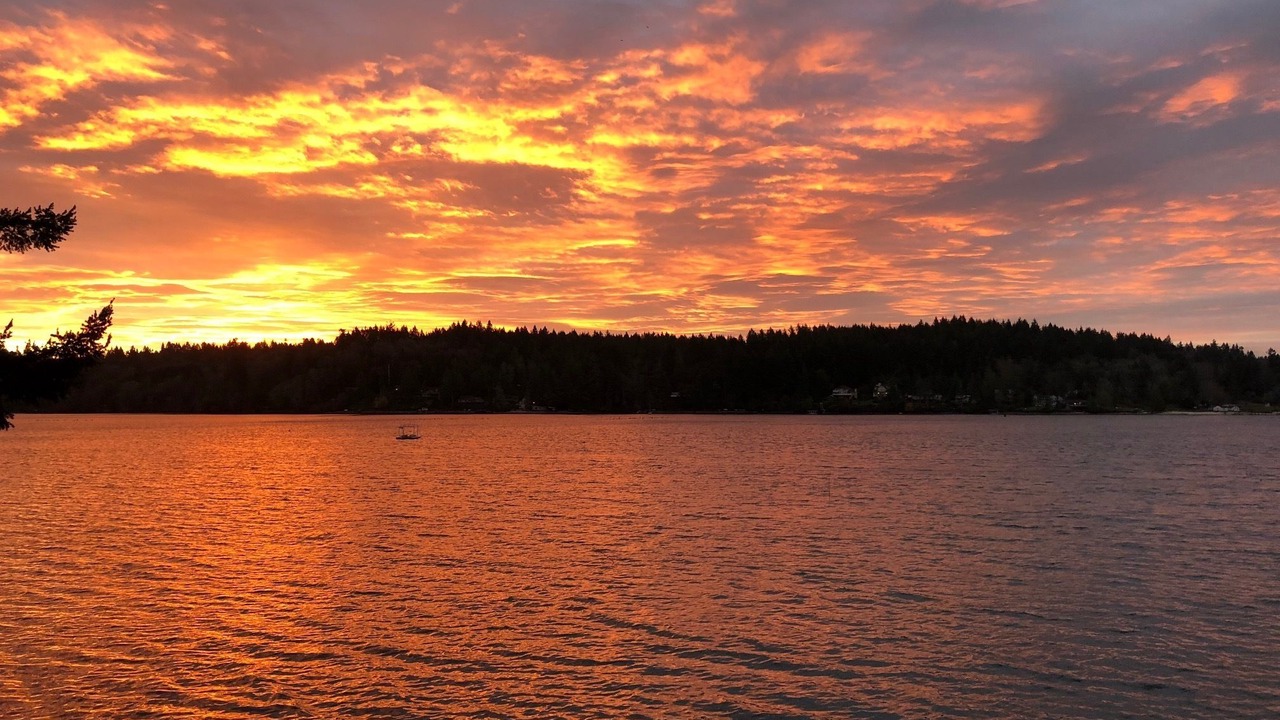 Photo of Others in Olympia