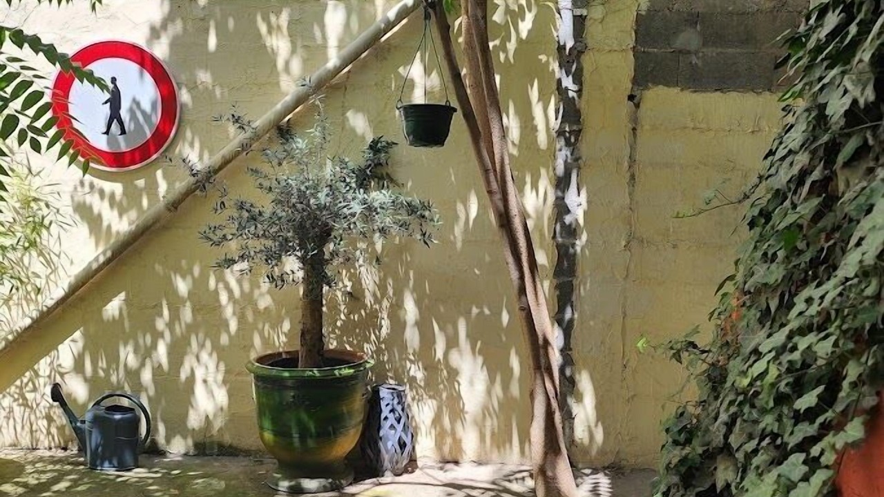 Photo of Outdoor in Cœur de Ville