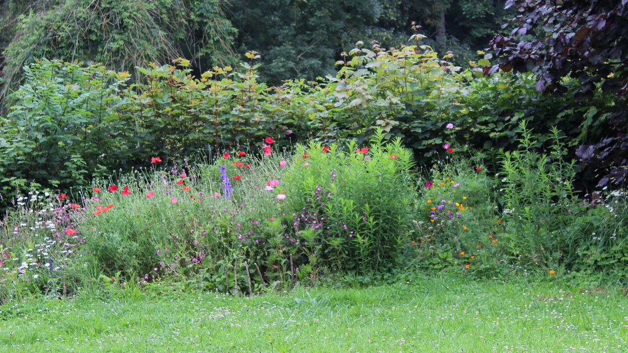 Photo of Outdoor in Mecquignies