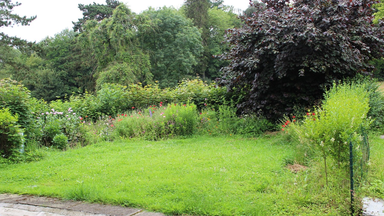 Photo of Outdoor in Mecquignies