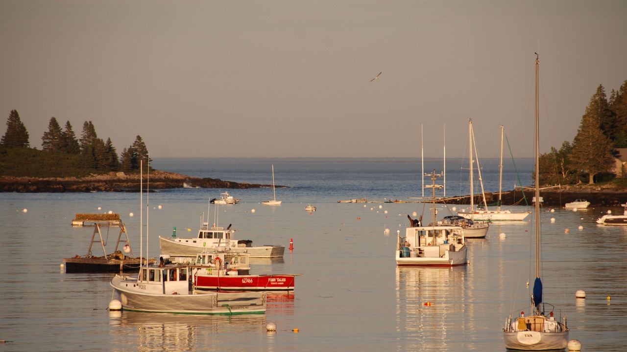 Photo of Outdoor in Tenants Harbor