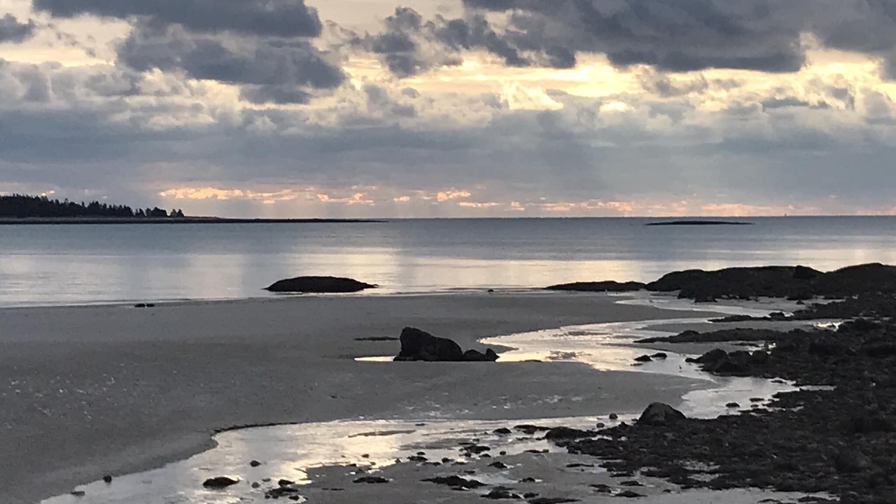 Photo of Others in Tenants Harbor