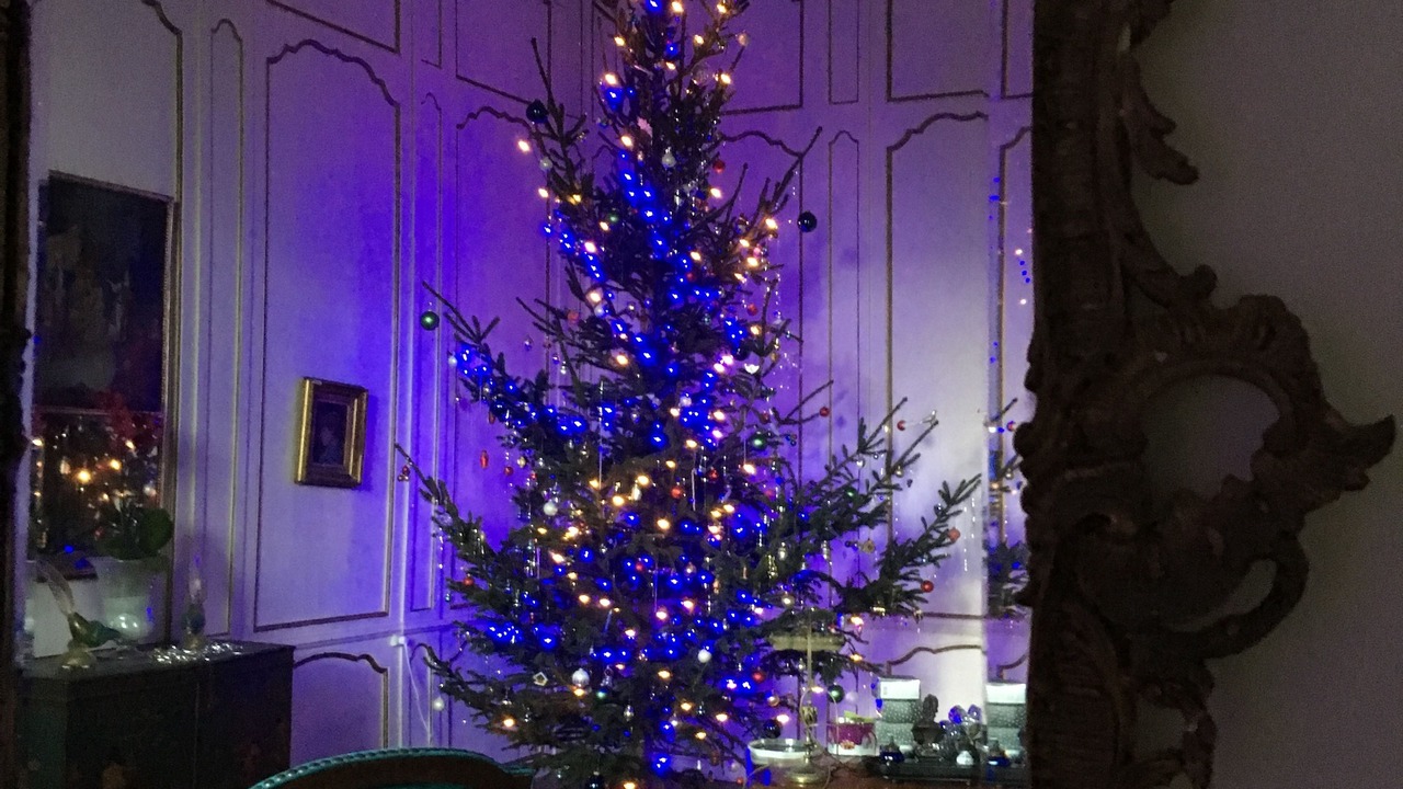 Photo of Others in Castillonnes