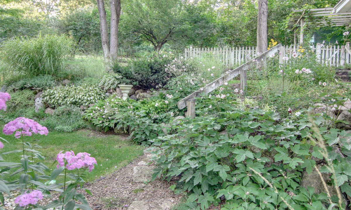 Photo of Outdoor in Bellaire