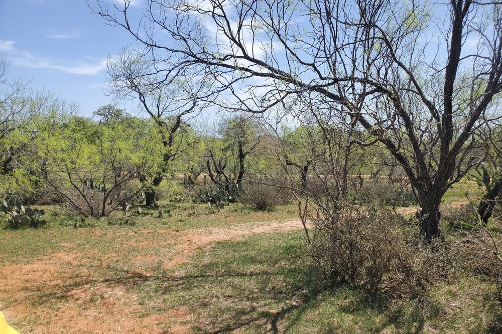Photo of Outdoor in Mason