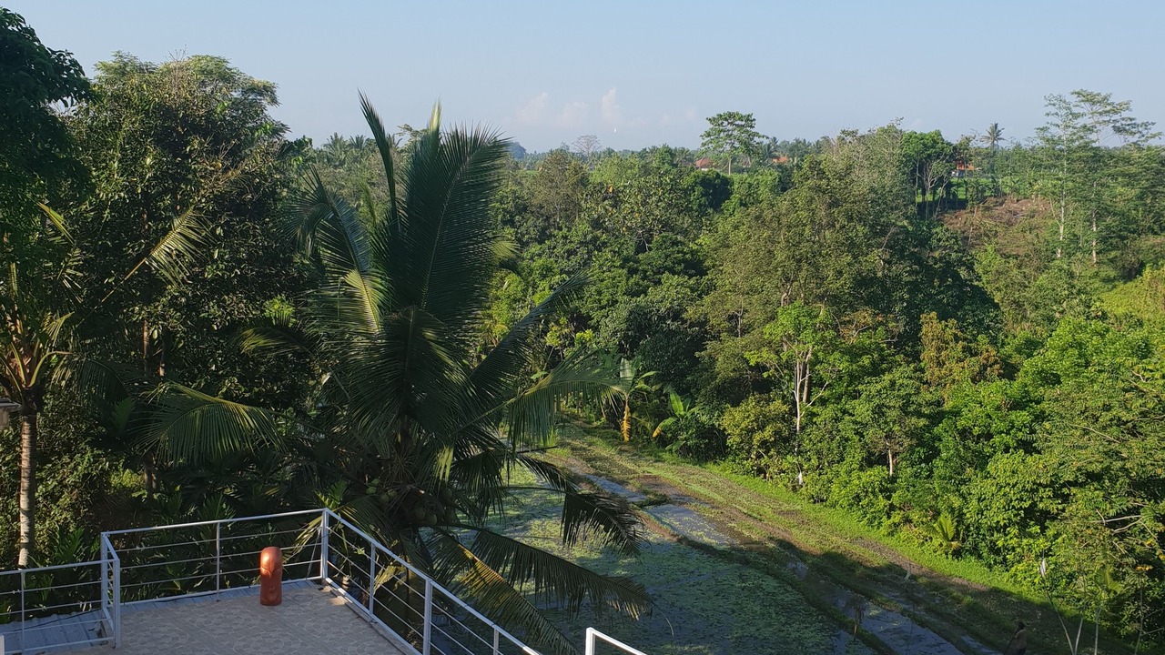 Photo of Patio Balcony in Tabanan