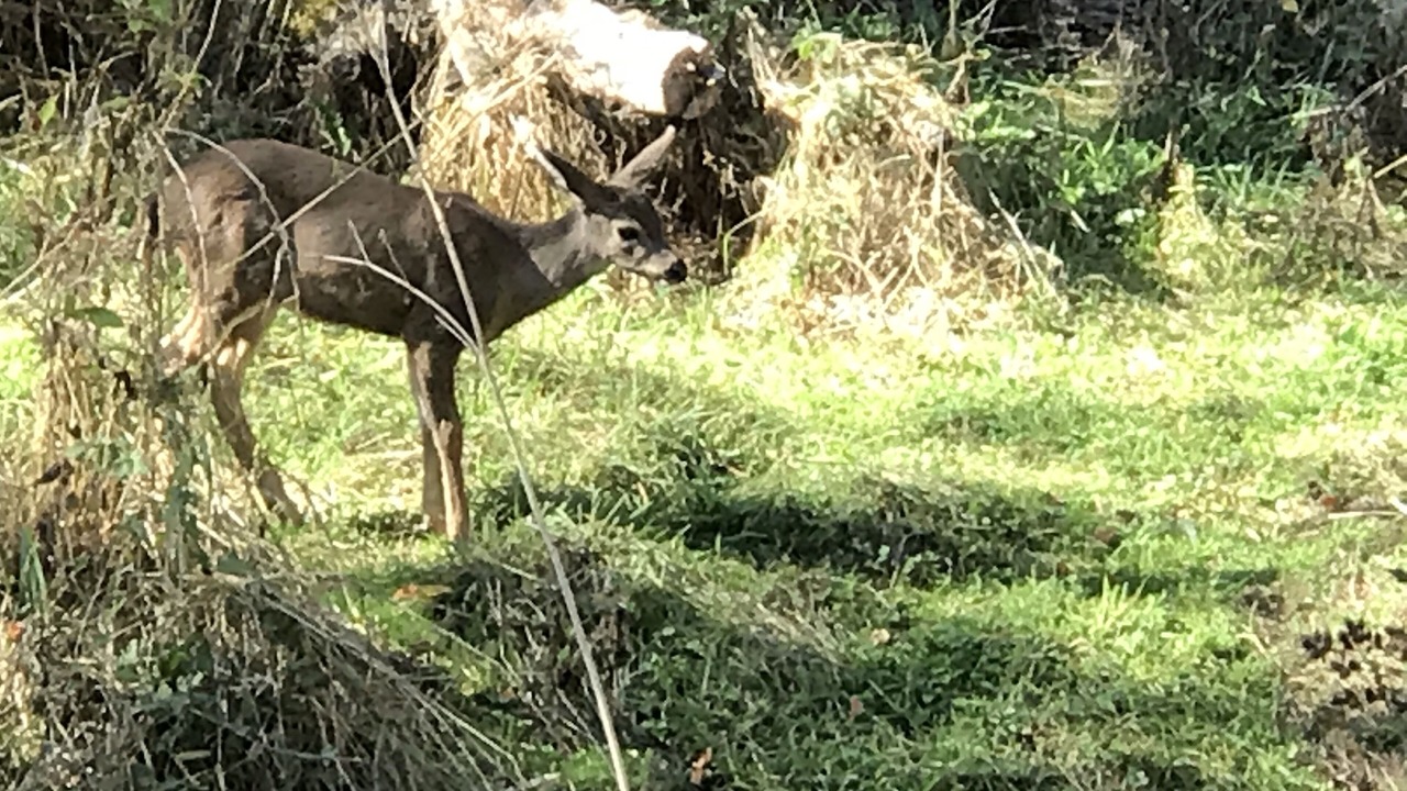 Photo of Outdoor in Independence