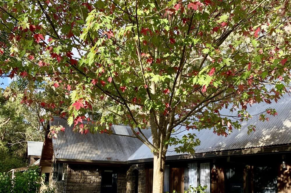Photo of Bedroom in Emerald