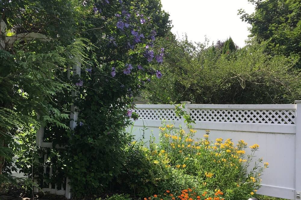 Photo of Outdoor in Palmyra
