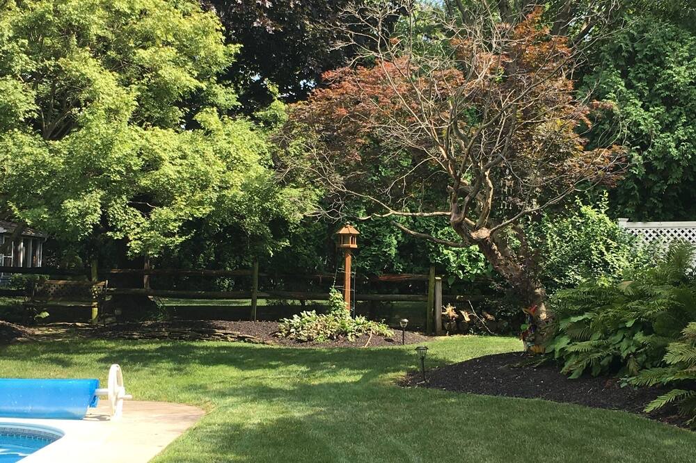 Photo of Outdoor in Palmyra