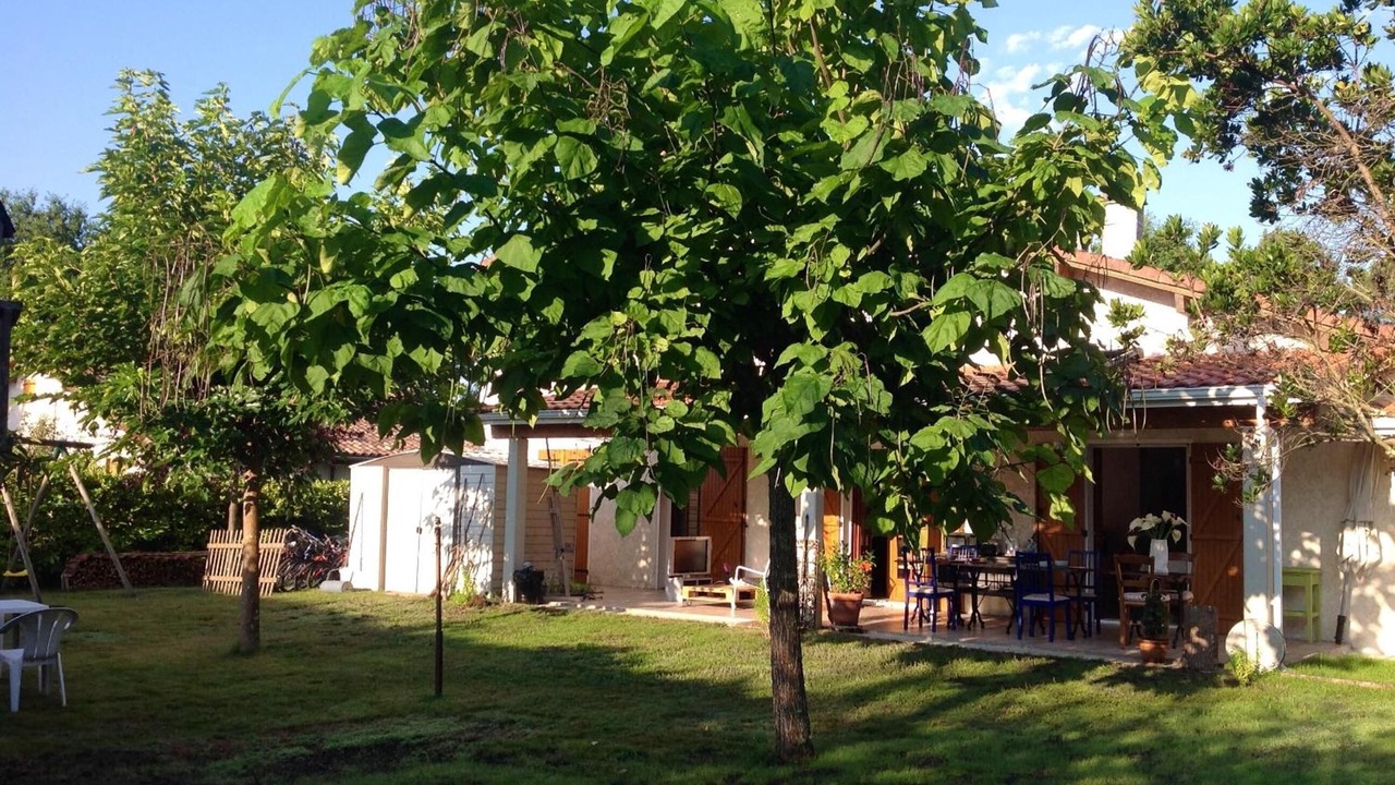 Photo of Outdoor in Sanguinet