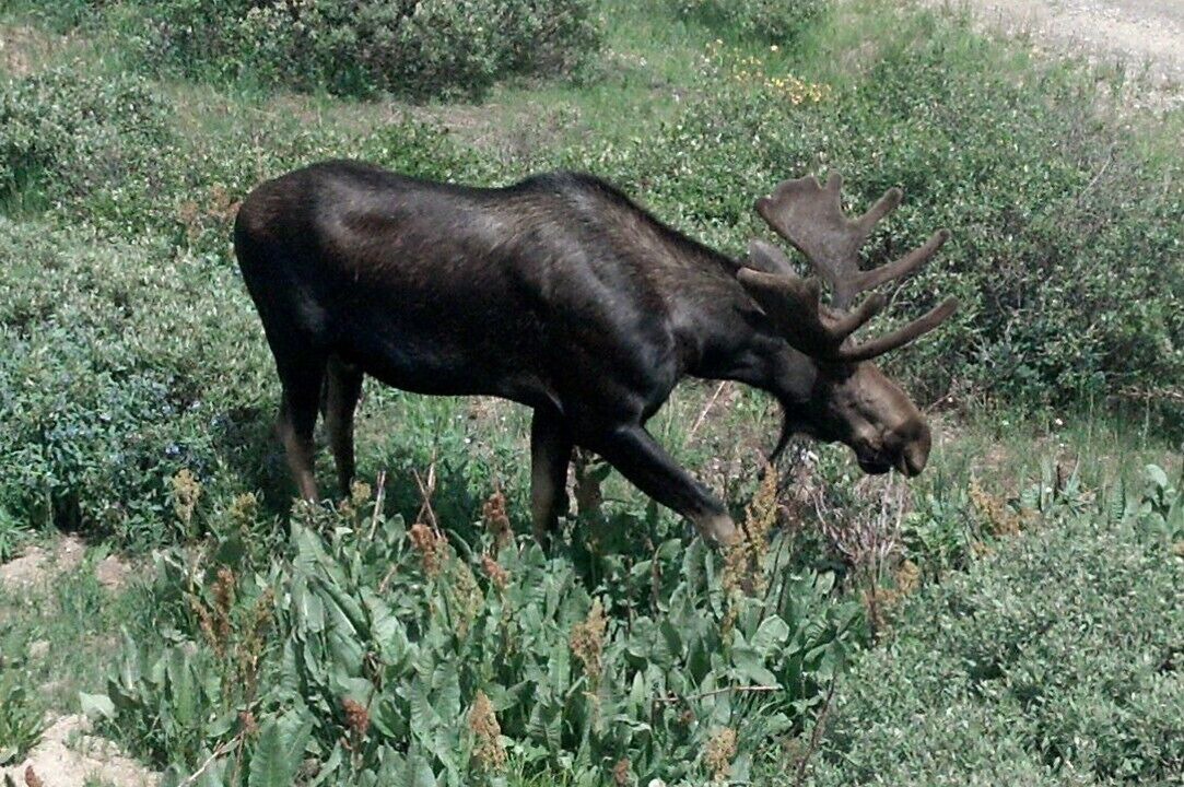 Photo of Outdoor in Quandary Village
