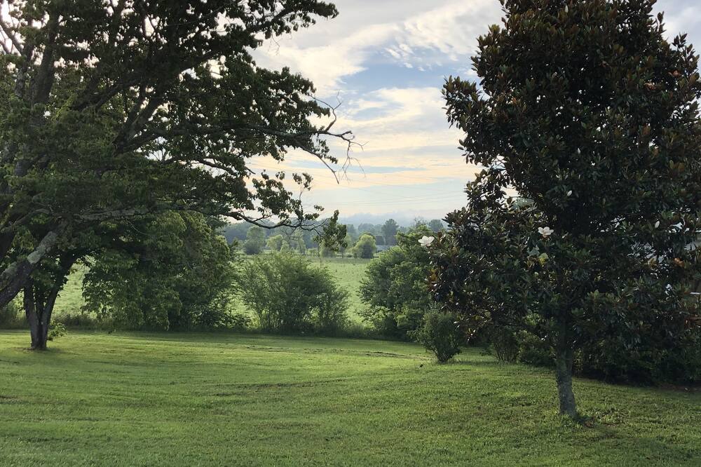 Photo of Outdoor in Pickens
