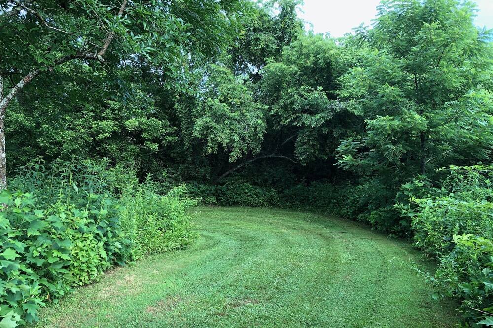 Photo of Outdoor in Pickens