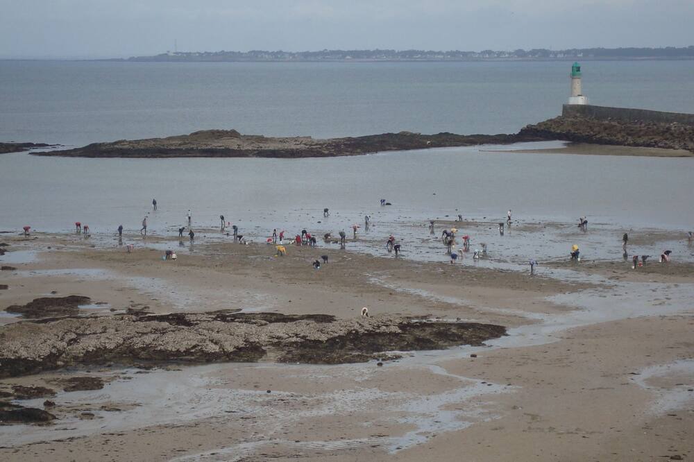 Photo of Outdoor in Le Croisic
