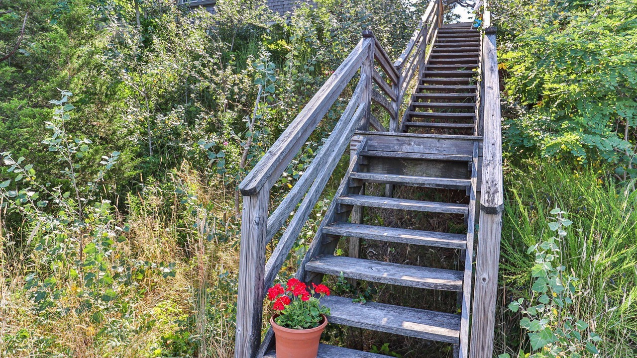 Photo of Outdoor in Harwich