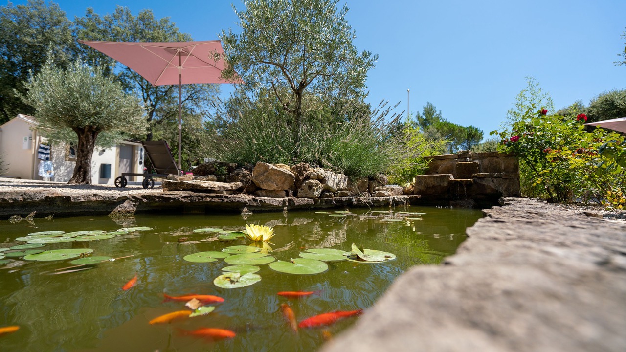Photo of Outdoor in Lourmarin