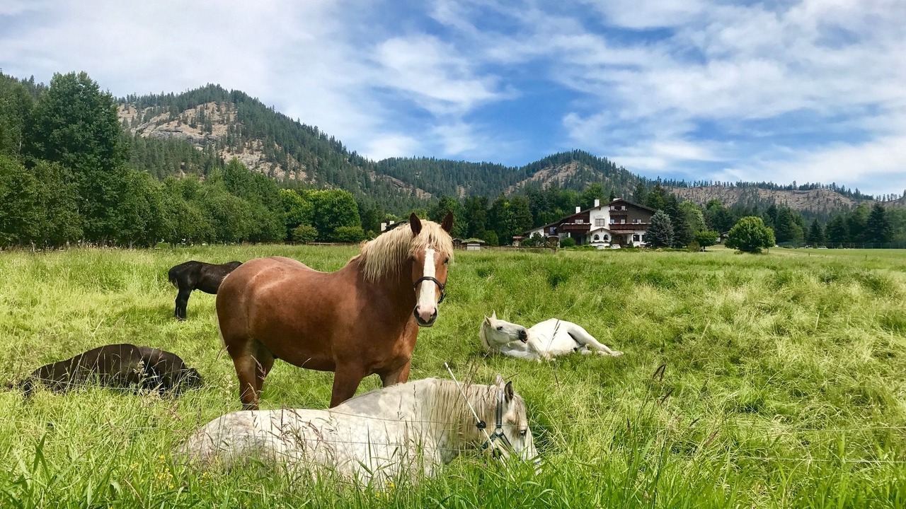 Photo of Others in Leavenworth
