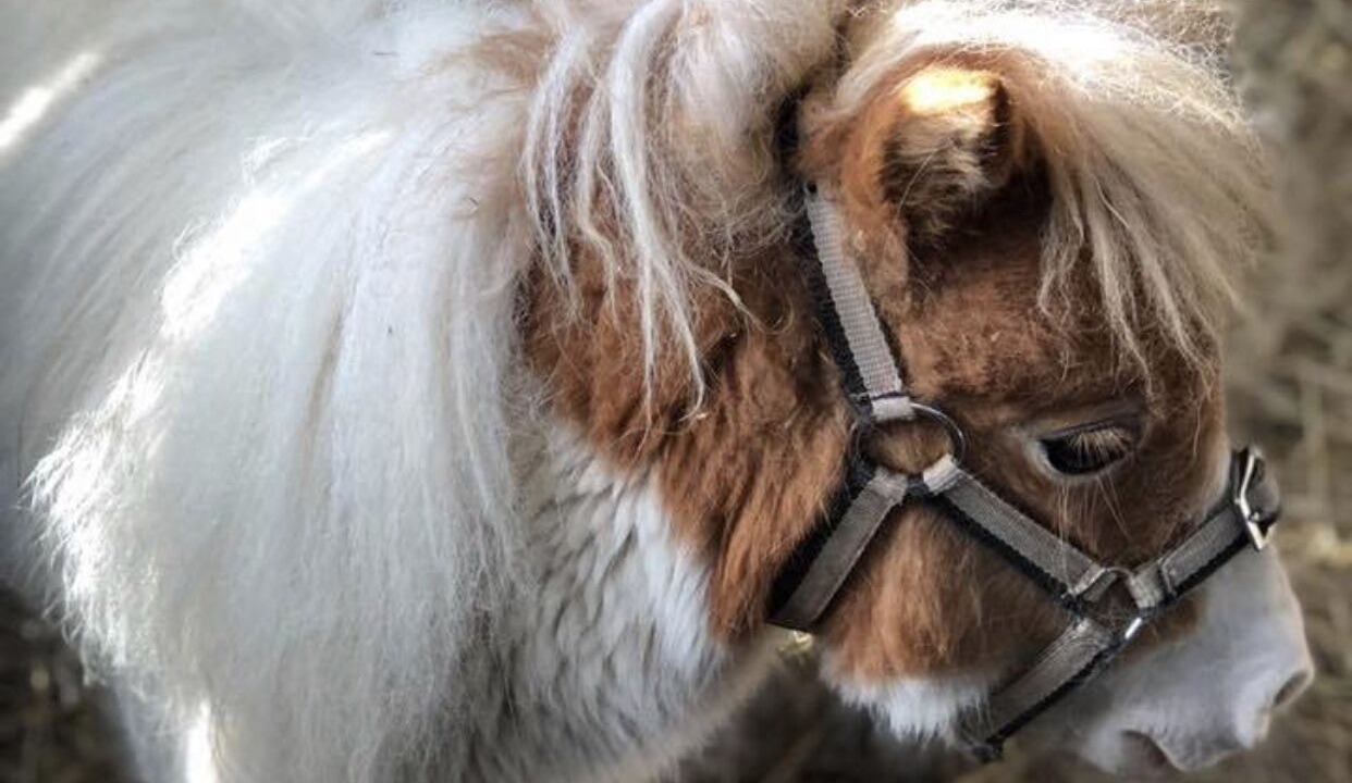 Photo of Outdoor in Grassmere