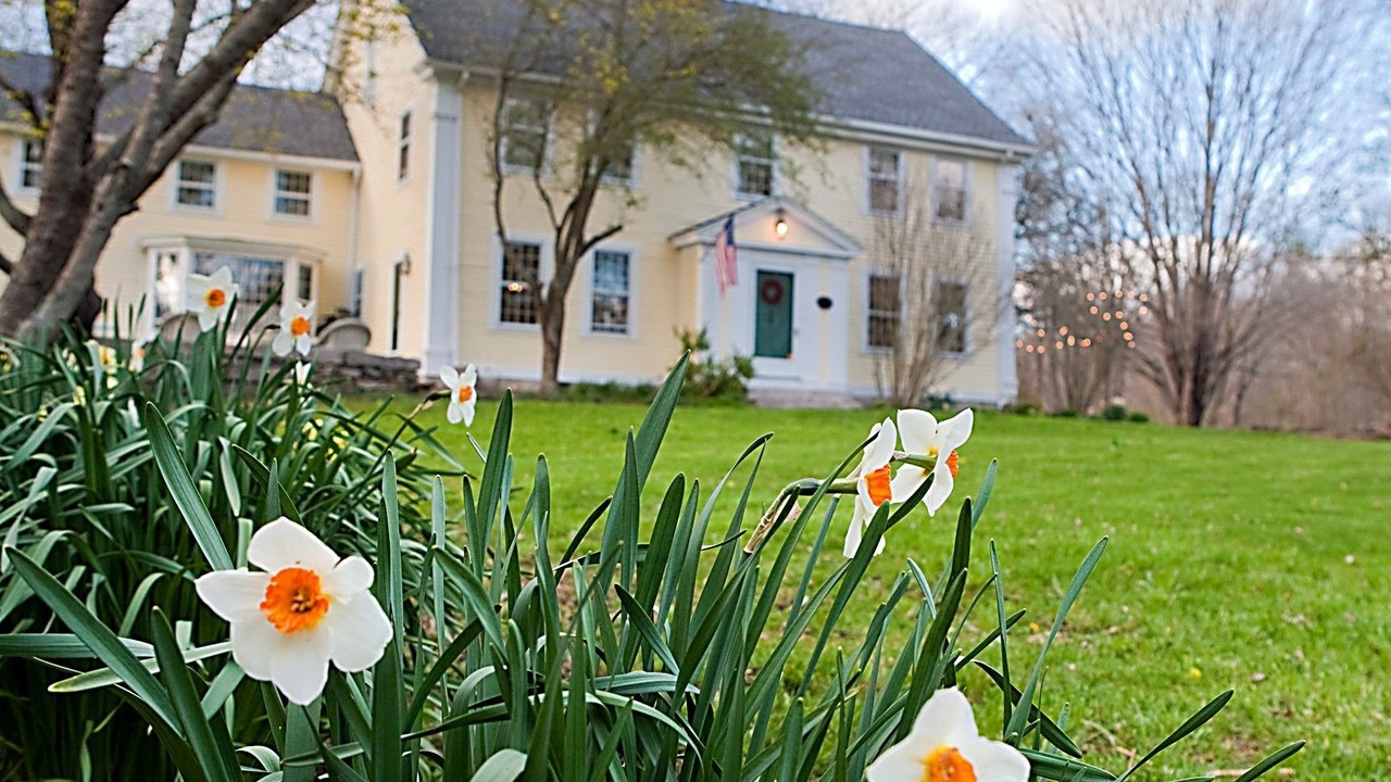 Photo of Outdoor in Ledyard