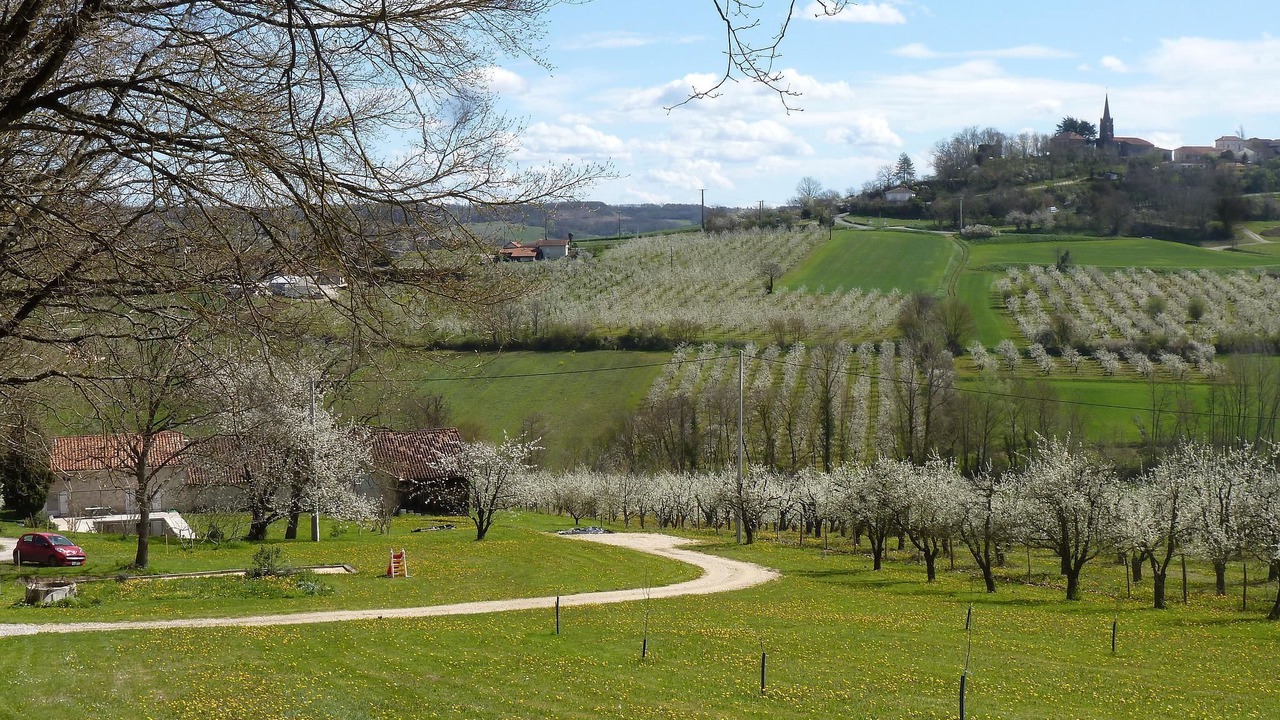 Photo of Outdoor in Dolmayrac