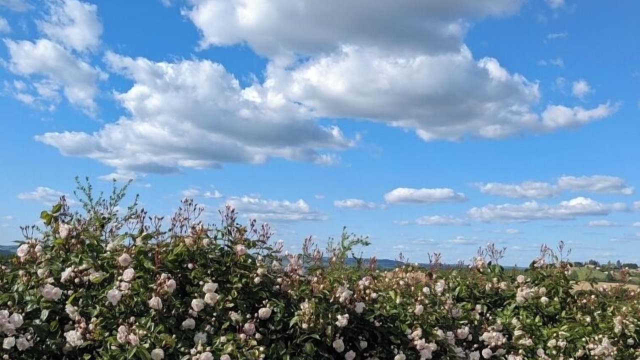 Photo of Outdoor in Dolmayrac