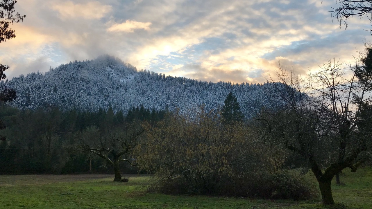 Photo of Patio Balcony in Wolf Creek
