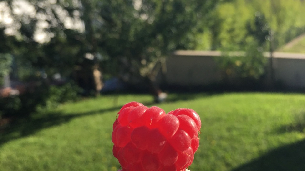 Photo of Outdoor in Veymerange