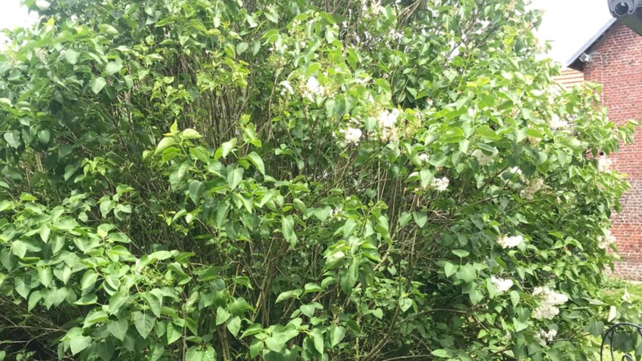 Photo of Outdoor in Nurlu