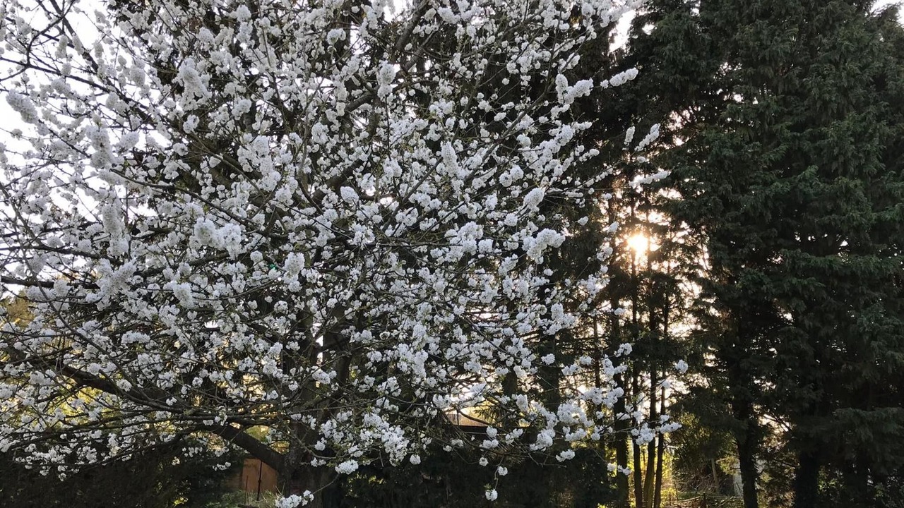 Photo of Outdoor in Nurlu