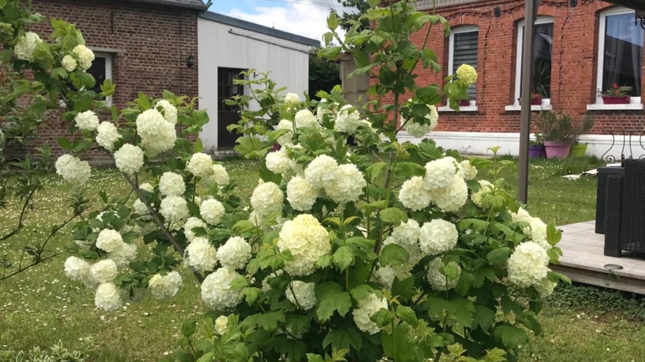 Photo of Outdoor in Nurlu