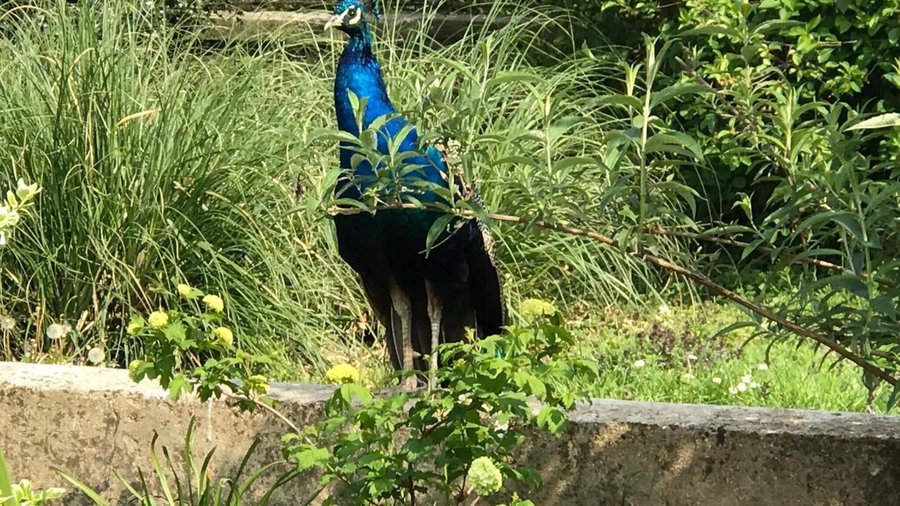 Photo of Outdoor in Nurlu