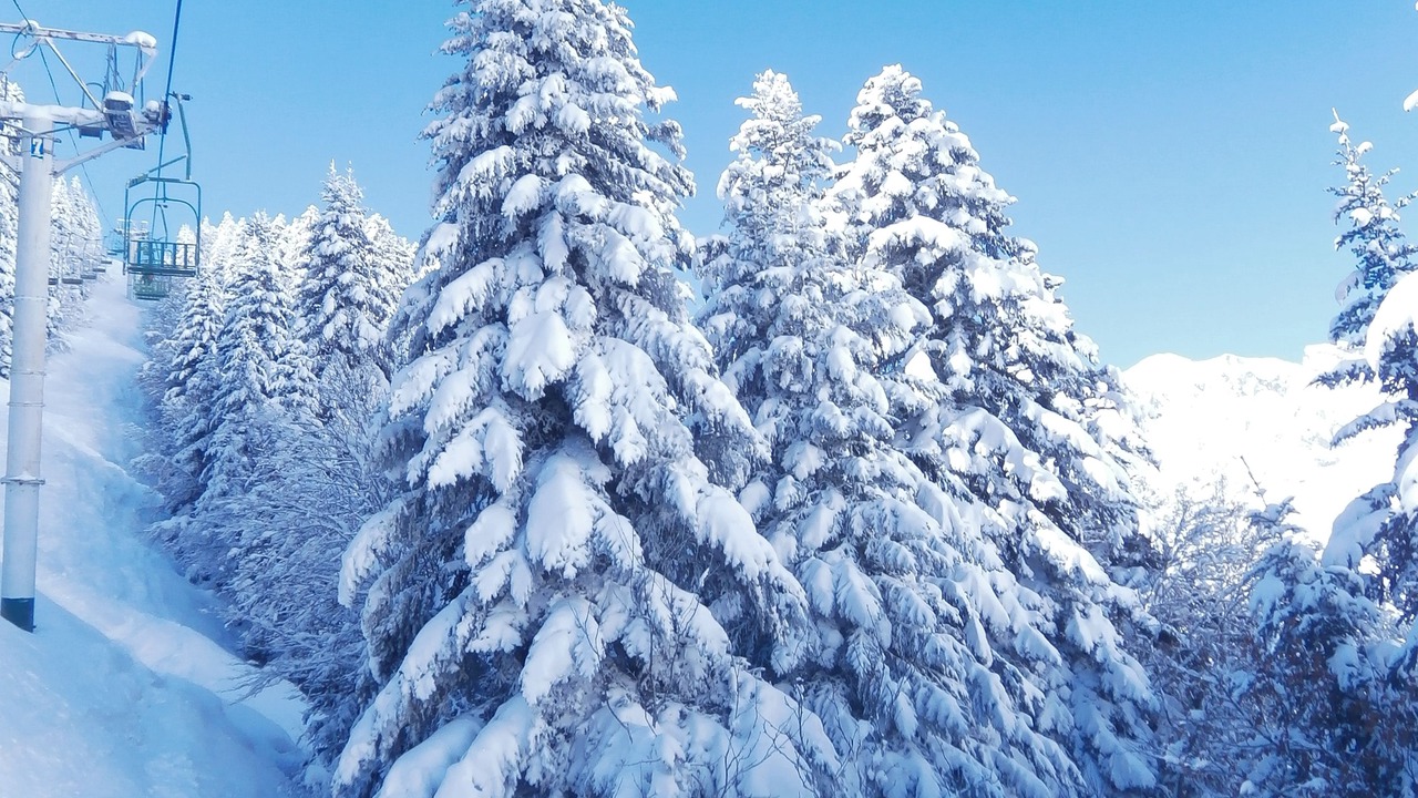 Photo of Others in Aragnouet