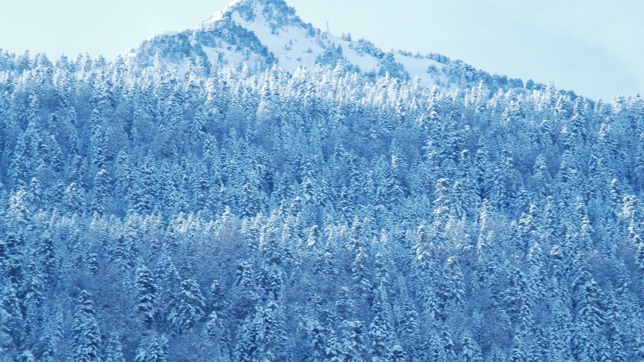 Photo of Outdoor in Aragnouet