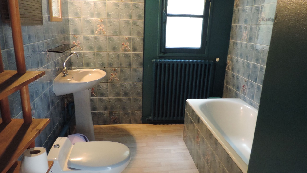 Photo of Bathroom in Aragnouet