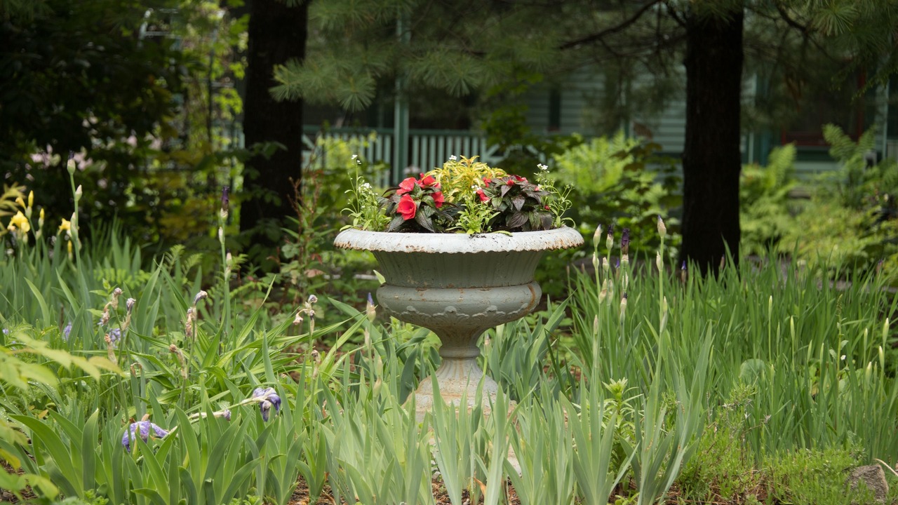 Photo of Outdoor in Bar Harbor