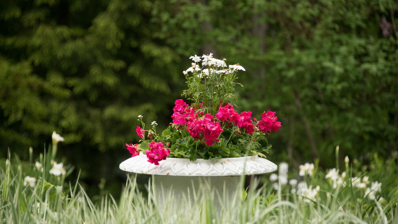 Photo of Outdoor in Bar Harbor