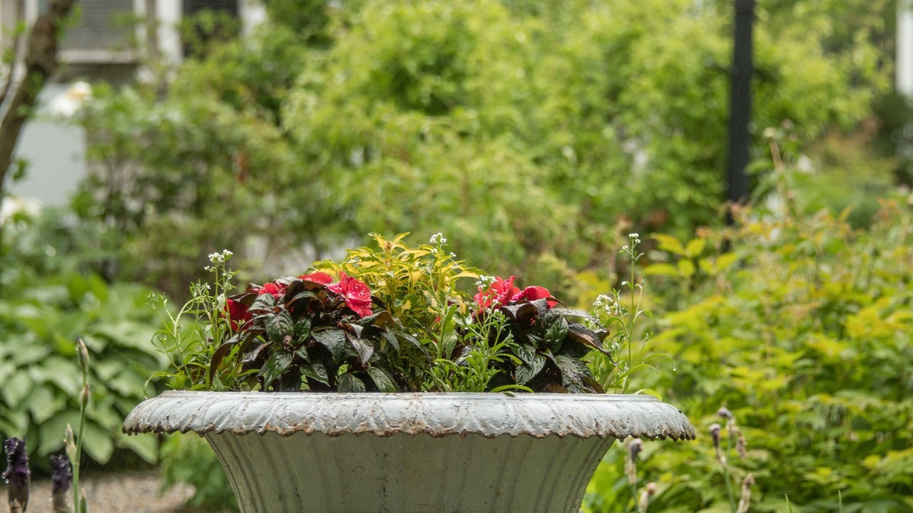 Photo of Outdoor in Bar Harbor