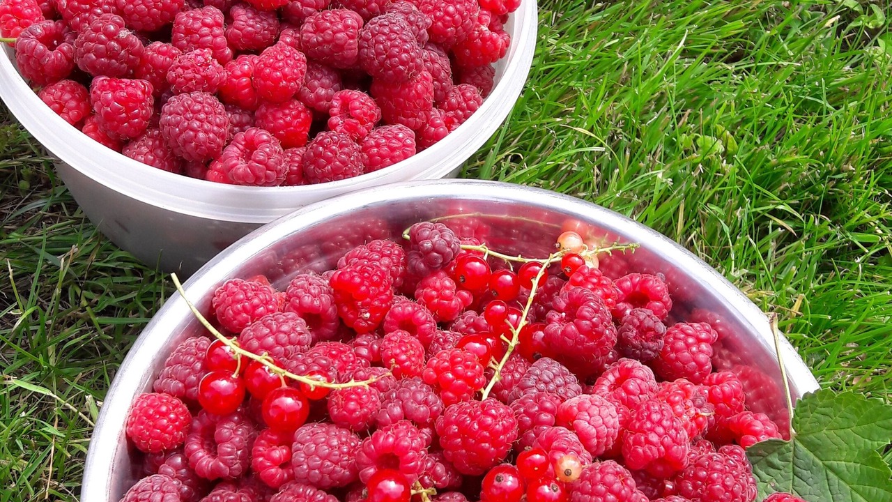 Photo of Others in Banteux