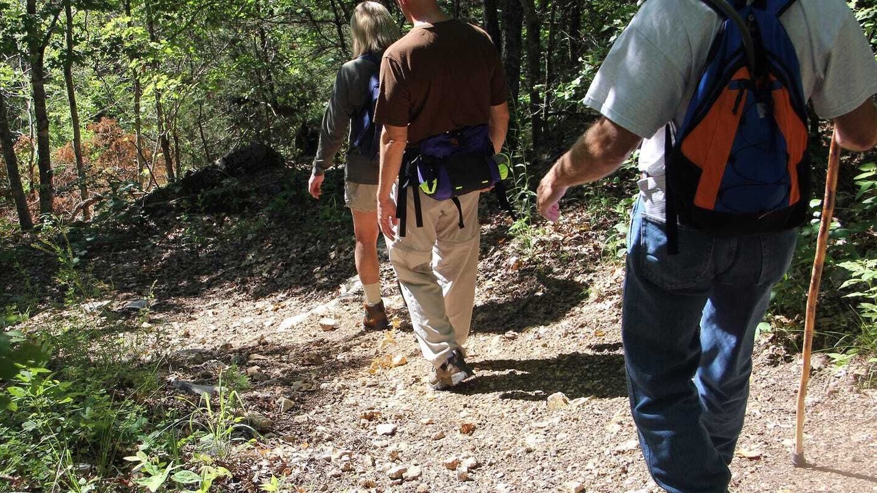 Photo of Outdoor in Frewville