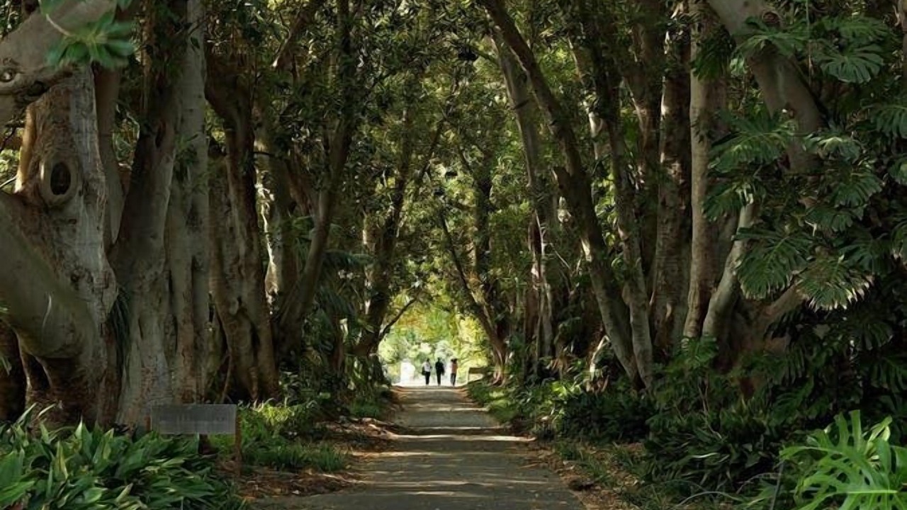 Photo of Others in Frewville